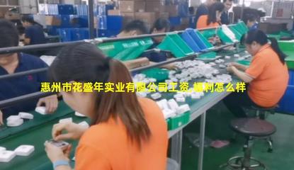 花盛年實業 創新投資驅動惠州產業升級新引擎